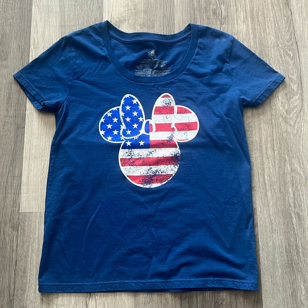 Disney American Flag